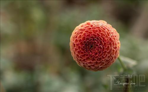 Garden Glimpses3,Garden Glimpses3下载,Garden Glimpses3官方下载